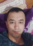 Норалиев Шергози, 39 лет, Бишкек