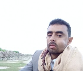 محمد الحاشدي, 29, Amran