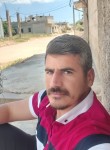 علي سيفو, 34 года, مدينة حمص