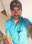 Roberto , 44 года, Santa Cruz do Rio Pardo