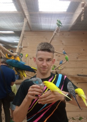 Pavel, 27, Belarus, Minsk