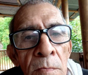 Gilberto, 72 года, Armenia