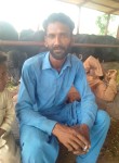 Qasir Ali, 28 лет, فیصل آباد
