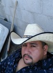 Vaquero, 42 года, Hermosillo