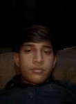 Sajid khan, 18 лет, پشاور