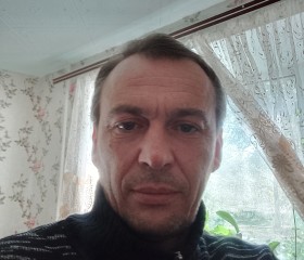 Анатолий, 43 года, Октябрьск