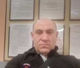 Валерий, 42 года, Воронеж