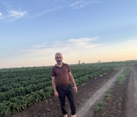 Cavansir, 45, Volgograd