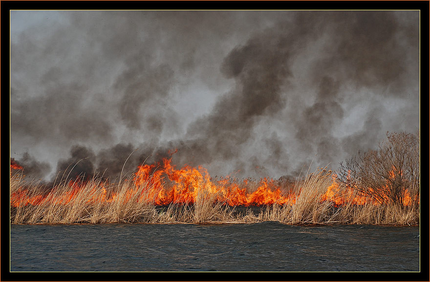 Топливо вода горит. Вода горит. Огонь в воде горит. Водные пожары. Огонь и вода фото.