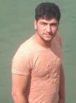 ömer, 29 лет, Bitlis