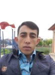 Arif Porsuk, 27 лет, Ankara