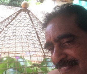 Sidharthan, 66 лет, Palakkad