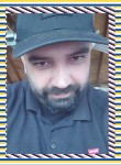 Alex, 42 года, Sterling Heights