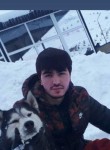 Сафар, 26 лет, Подольск