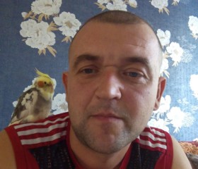сергей, 48 лет, Ижевск