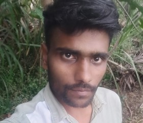 C, 31, Sadalgi