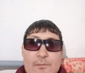 Misha, 45, Los Angeles