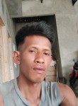 midin, 36 лет, Kota Bandar Lampung