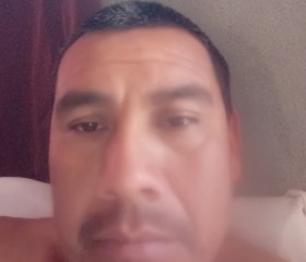 Saul, 36 лет, Gustavo A. Madero (Estado de Tamaulipas)