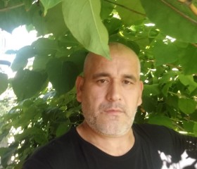 Hamid, 48 лет, Москва