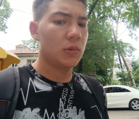 Leo, 22 года, Алматы