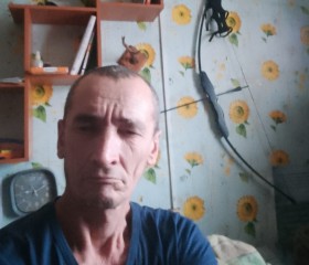Сергей, 52 года, Ордынское