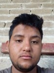 Juan José, 28 лет, Ameca