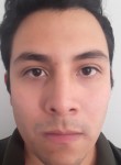 Carlos, 33 года, Monterrey City