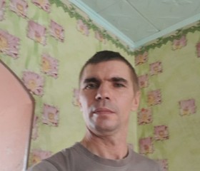 Виталий, 46 лет, Тюмень