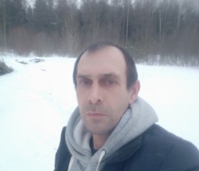 Александр Дорош, 47 лет, Ломоносов