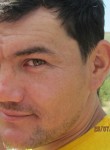 Тимур, 36 лет, Алматы