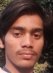 Rahul raj, 19 лет, Noida