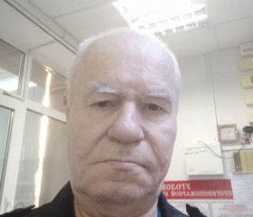 Николай, 66 лет, Петергоф