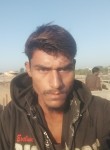 Dalapat , 26 лет, Māndvi