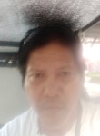 John barbajosa, 48 лет, Lungsod ng Bacolod