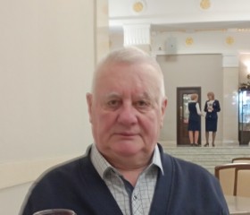 Анатолий, 71 год, Горад Мінск