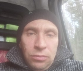 Михаил, 47 лет, Пикалёво