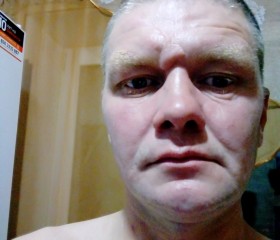 николай, 42 года, Казань