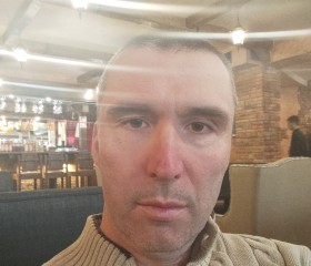 Федор, 43 года, Подольск