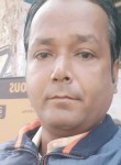 Amit, 29 лет, Lucknow