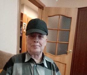 Сергей, 70 лет, Черепаново