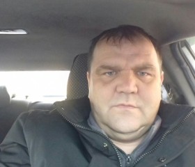Андрей, 49 лет, Боровичи