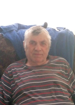Шипицин Владимир, 75, Россия, Черепаново