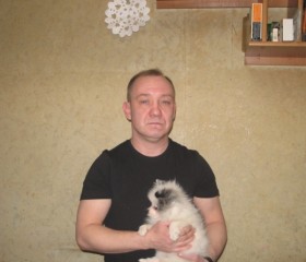 Денис, 49 лет, Электросталь