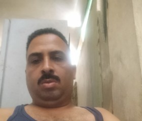 احمد كامل, 40, Halwan