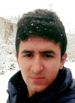 Hakan, 26 лет, Ankara