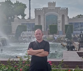 Владимир, 45 лет, Свободный
