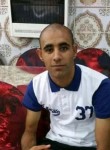 Walid, 31 год, Sidi Bel Abbes