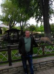 Николай, 53 года, Липецк