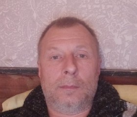 Вдпдимир, 46 лет, Ярославль